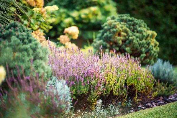 Fertilizing Your Garden: A Practical Approach